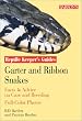 Garter and Ribbon Snakes: Facts & Advice on Care and Breeding