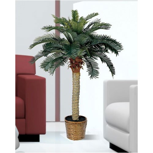 C. Alan 5043 Sago Silk Palm Tree 4'