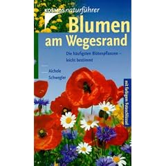 Blumen am Wegesrand