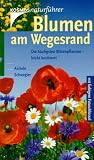 Blumen am Wegesrand