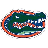 Florida Gators NCAA Precision Cut Magnet