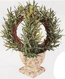 15 ROSEMARY RING TOPIARY IN POT 2PC.