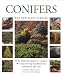 Book Conifers (The Little Plant Library Series)