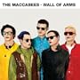 Wall of Arms