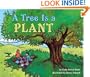 A Tree Is a Plant (Let's-Read-and-Find-Out Science)