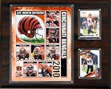 NFL Cincinnati Bengals 2010 Team Plaque