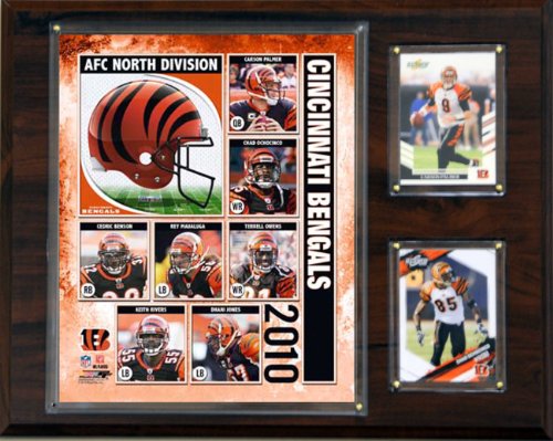 NFL Cincinnati Bengals 2010 Team Plaque