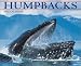 Book Humpbacks: 2002 Calendar