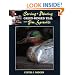 Carving and Painting a Green-Winged Teal With Jim Sparnkle (Carving & Painting)