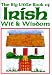 The Big Little Book of Irish Wit & Wisdom