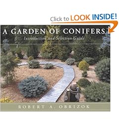 A Garden of Conifers: Introduction and Selection Guide