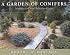 A Garden of Conifers: Introduction and Selection Guide