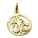 PENDANT, ZODIAC SIGN, AQUARIUS, 9K GOLD, NEW