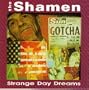 Strange Day Dreams