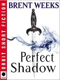 Perfect Shadow book cover image