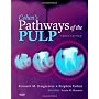 Cohen's Pathways of the Pulp Expert Consult, 10e by Kenneth M. Hargreaves