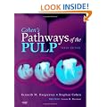 Cohen's Pathways of the Pulp Expert Consult