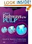 Cohen's Pathways of the Pulp Expert Consult