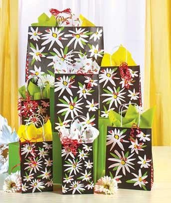 Daisy and Ladybug Gift Bag Set