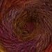 Lion Brand Amazing Yarn (204) Mesa By The Each