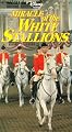 Miracle of the White Stallions [VHS]