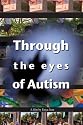 Through the eyes of Autism