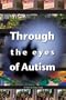 Through the eyes of Autism