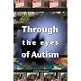 Through the eyes of Autism