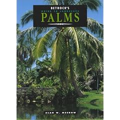 Guide to Landscape Palms