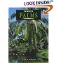 Betrocks Guide to Landscape Palms