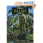 Betrocks Guide to Landscape Palms