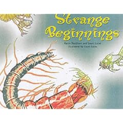 Strange Beginnings