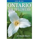 Ontario Wildflowers: 101 Wayside Flowersby Linda Kershaw