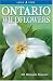 Ontario Wildflowers: 101 Wayside Flowers