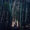 Image de lalbum de {0}