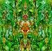 Emerald Aether: Shape Shifting/Reconstructions Of Irish Music
