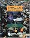 Poverty and Development: Into the 21st Century