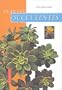 Plantes succulentes