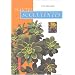 Plantes succulentes