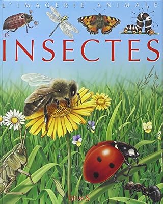 Fleurus Les Insectes : Pour les faire connaître aux enfants