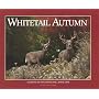 Whitetail Autumn (Seasons of the Whitetail, Book 1)
