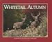 Whitetail Autumn (Seasons of the Whitetail, Book 1)