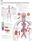 Metabolic Syndrome chart: Wall Chart