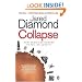 Collapse: How Societies Choose to Fail or Survive
