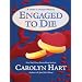 Engaged to Die (Death on Demand Mysteries, No. 14)