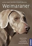 Weimaraner: Geschichte, Haltung, Ausbildung, Zucht