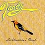 Lichtenstein's Oriole