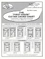 The "First Stage" Guitar Chord Chart - Learn How To Play The Most Commonly Played Guitar Chords