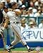 Will Clark Autographed/Hand Signed San Francisco Giants 8x10 Photo