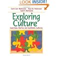 Exploring Culture: Exercises, Stories and Synthetic Cultures by Gert Jan Hofstede